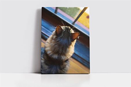 Kedi Kanvas Tablo