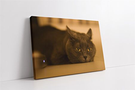 Kedi Kanvas Tablo