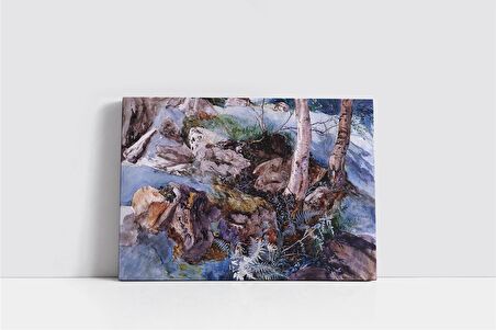 Soğuk Doğa Kanvas Tablo