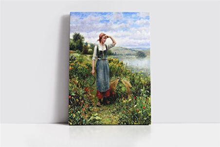 Çiçek Tarlası D R Knight Kanvas Tablo