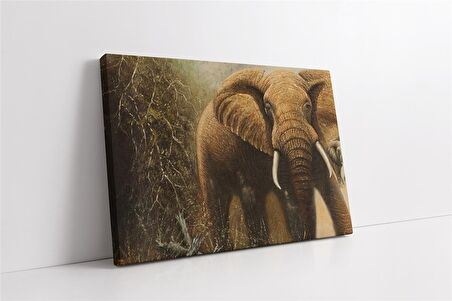 Tek Fil Kanvas Tablo