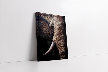 Filin Dişi Kanvas Tablo