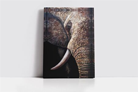 Filin Dişi Kanvas Tablo