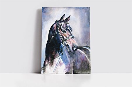 Soyut At Kanvas Tablo