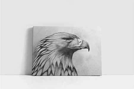 Karakalem Kartal Kanvas Tablo