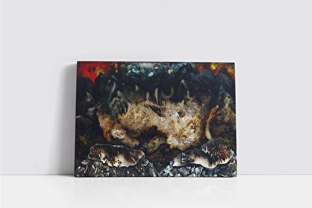 Soyut Görsel Kanvas Tablo