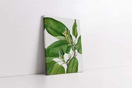 Yeşil Beyaz Yaprak Kanvas Tablo