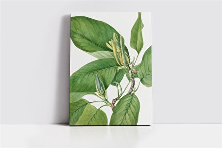 Yeşil Beyaz Yaprak Kanvas Tablo