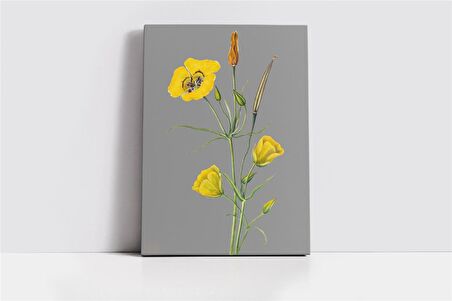 Gri Zemin Sarı Çiçek III Kanvas Tablo