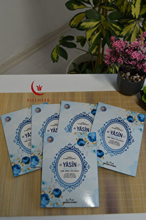 Mevlid Hediyeliği 41 Yasin Dua Kitabı 10 Adet