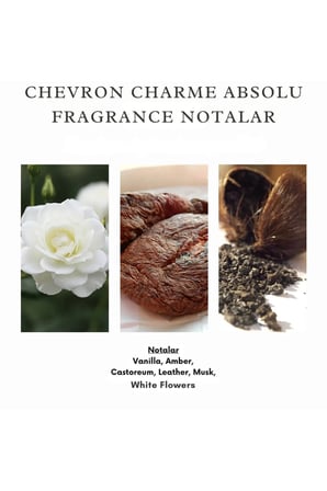 Charme Absolu Erkek Parfüm 50 ML EDP Kalıcı ve Etkileyici Koku