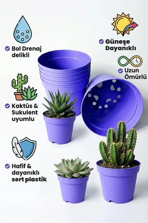 Ne görürseniz onu alırsınız.