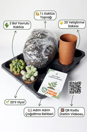 Kaktüs Çoğaltma ve Yetiştirme Seti – 2 Bol Yavrulu Kaktüs + 20 Saksı + 20’li Viyol + 1 Litre Toprak