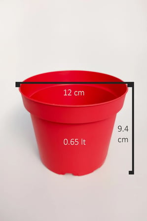 Kırmızı Plastik Saksı 12 cm Kaktüs ve Sukulent İçin 50 Adet