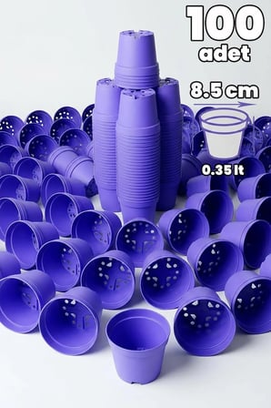 Kaktüs ve Sukulent Saksısı Bol Drenaj Delikli 8.5 cm çap Lila 100 Adet