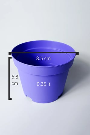 Kaktüs ve Sukulent Saksısı Bol Drenaj Delikli 8.5 cm çap Lila 100 Adet
