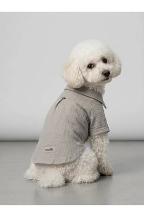moffi Müslin Pamuklu Tasma Delikli Kedi ve Küçük Irk Köpek Gömleği
