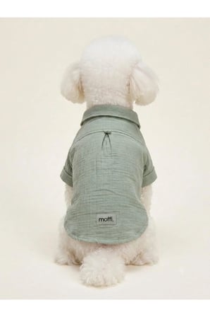 moffi Müslin Pamuklu Tasma Delikli Kedi ve Küçük Irk Köpek Gömleği