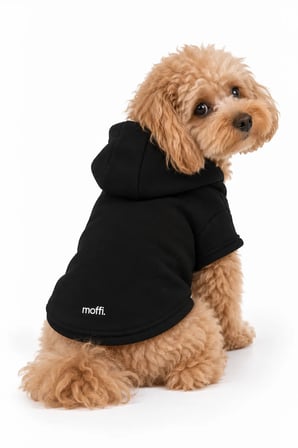 moffi 2'li Set Kapüşonlu Kedi Köpek Kıyafeti Siyah & Su Yeşili Sweatshirt