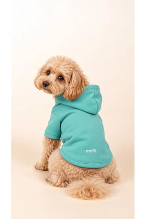 moffi 2'li Set Kapüşonlu Kedi Köpek Kıyafeti Siyah & Su Yeşili Sweatshirt