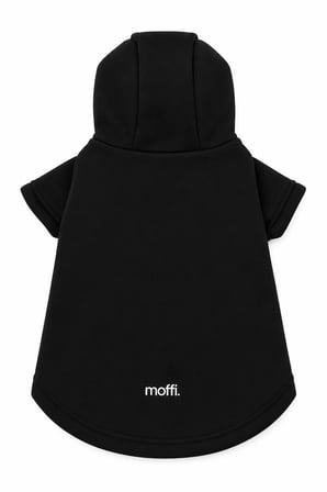 moffi 2'li Set Kapüşonlu Kedi Köpek Kıyafeti Siyah & Su Yeşili Sweatshirt