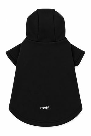 moffi 2'li Set Kapüşonlu Kedi Köpek Kıyafeti Siyah & Su Yeşili Sweatshirt