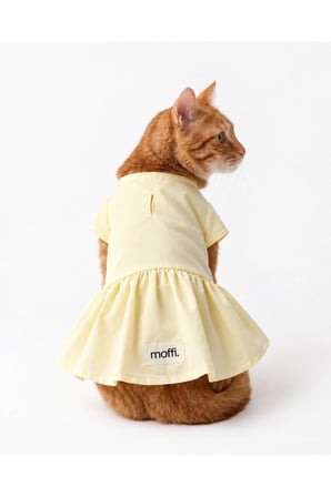 moffi 2'li Fırsat Paketi Pamuklu Kedi ve Köpek Elbisesi Cırt Cırtlı Tasma Delikli Fırfırlı Takım Lacivert & Sarı