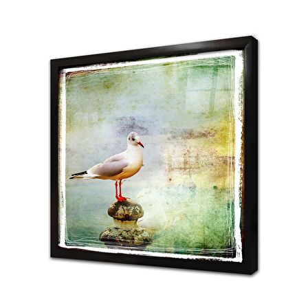 Martı Çerçeveli Cam Tablo