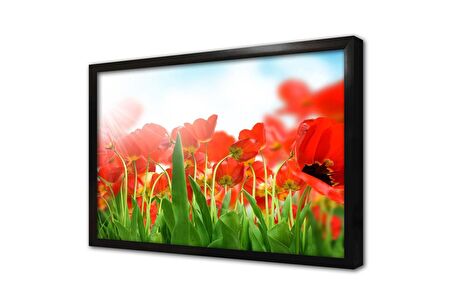 Kırmızı Çiçekler Çerçeveli Cam Tablo