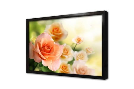 Soft Pembe Güller Çerçeveli Cam Tablo