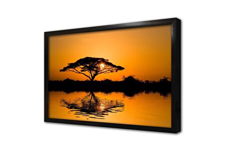 Yansıma Ağaç Eşliğinde Gün Batımı Çerçeveli Cam Tablo