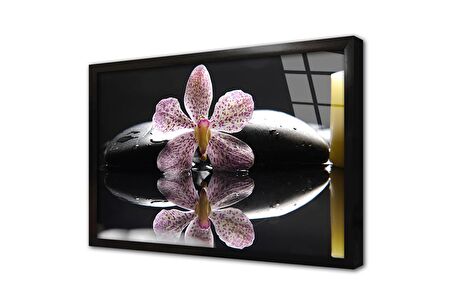 Spa Taşları ve Orkide Çerçeveli Cam Tablo