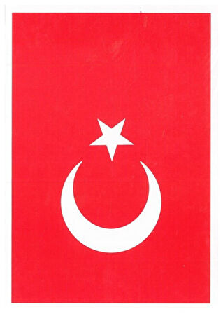 Atatürk Bayrak Çıkartma 13X18 10Lu - 2 paket