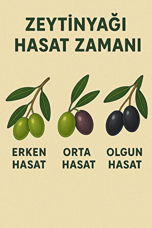 5 Litre Zeytinyağı (Erken Hasat - Naturel Sızma - Edremit Cinsi)