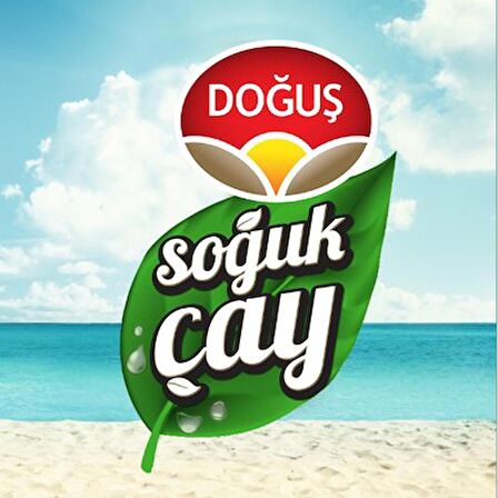 Doğuş Şeftali Soğuk Çay 24 X 250 ml