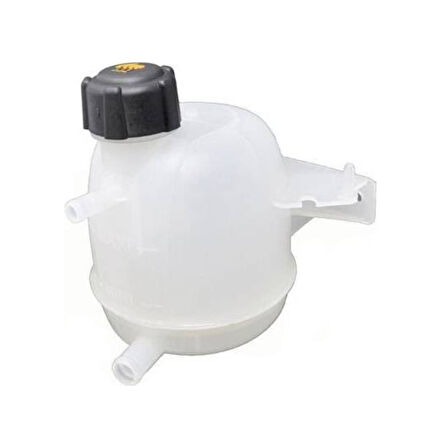 Clio 2-Kangoo Radyatör Su Yedek Deposu Kapakli 536158111