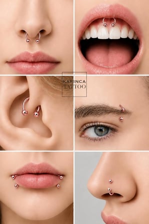 Yarım Halka Piercing Tragus Smiley Nipple Forward Helix Dudak Kulak Snake Bites Nostril Septum Circular Barbell