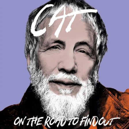 Cat Stevens On the Road to Findout Greatest Hits (Black Vinyl) 4LP Plak 0602478281914