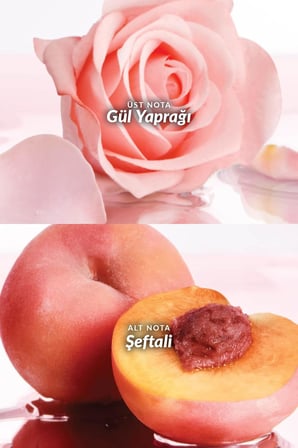 Imari Naturelle Kadın Rollon 50 Ml. Üçlü Set