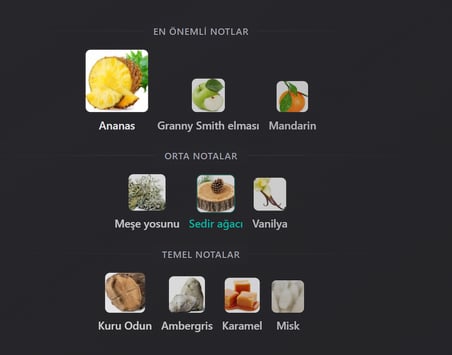 9 PM REBEL  Åfńαη  Unisex Parfüm Şehrin Yeni Efsanesi 75 ml Ultra Kalıcı Silaj Canavarı İmza Kokusu!