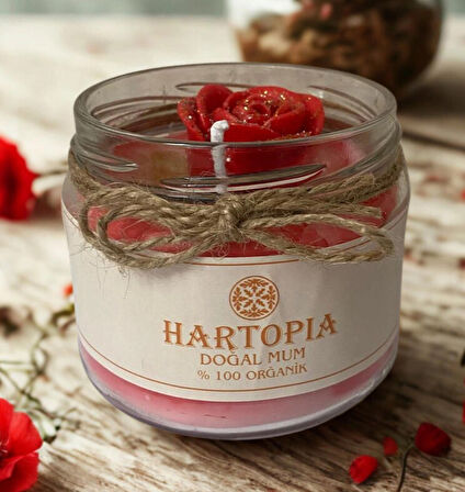 HARTOPİA Gül Büyüsü El Yapımı Soya Wax Dekoratif Mum – Aura Koleksiyonu