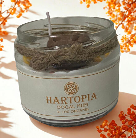 HARTOPİA Sonbahar Çiçeği El Yapımı Dekoratif Mum – Aura Koleksiyonu