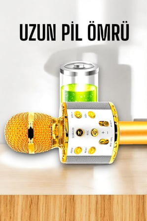 Kablosuz Karaoke Mikrofon USB ve AUX Girişli Yüksek Ses Kalitesi