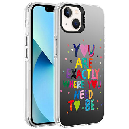 Apple iPhone 13 Kılıf Desenli Silver Sert Kapak