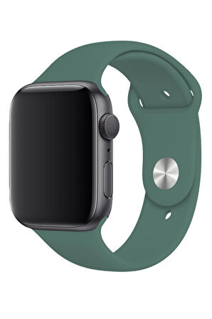 Apple Watch 42/44/45/46/49mm M/L Beden Kordon Silikon Spor Kordon 1 2 3 4 5 6 SE 7 8 Ultra