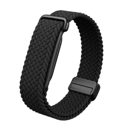 Google Fitbit Air Kordon Magnet Örgü Strap
