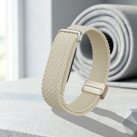 Google Fitbit Air Kordon Magnet Örgü Strap
