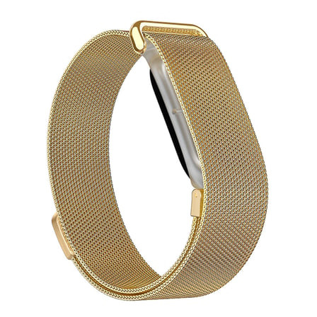 Google Fitbit Air Kordon Milano Loop Metal Band