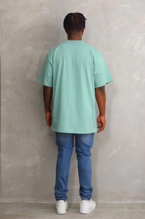 Erkek Baskılı T-Shirt Kısa Kol Bisiklet Yaka Rahat Kalıp Tişört - Mint Yeşili