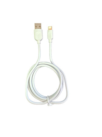 Blue Spectrum BS-DT01 125 CM Type-C Uyumlu Şarj ve Data Kablosu